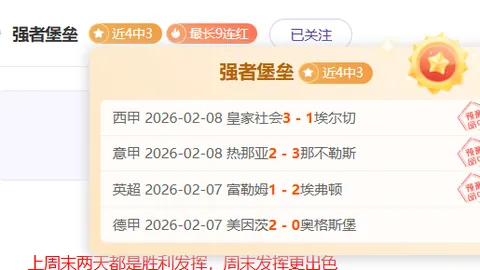 荷兰教练团队迎范迪克加盟，共助欧洲杯征程