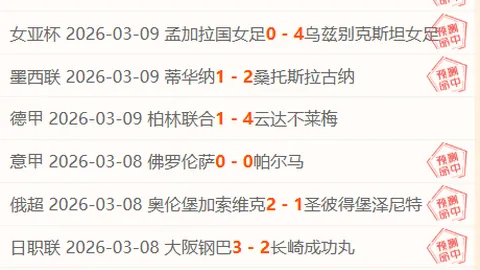 尹锡悦弹劾案最终辩论环节发言总结