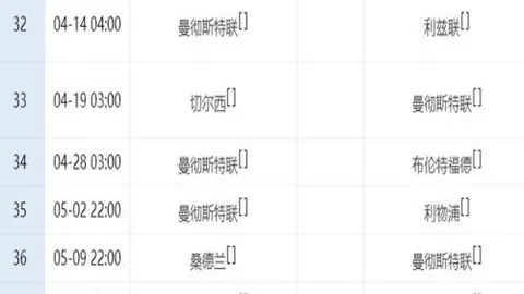 纽卡欲签热刺中锋索兰克，前伯恩茅斯旧将豪推荐